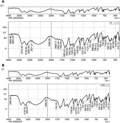 Enhancement of antifungal activity and transdermal delivery of 5-flucytosine via tailored spanlastic nanovesicles: statistical optimization, in-vitro characterization, and in-vivo biodistribution study